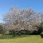 Casa Toras Semesterbostad *