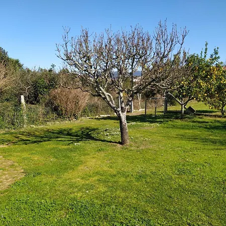 Casa Toras * Vilagarcía de Arousa