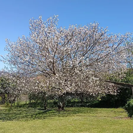 Casa Toras Hébergement de vacances *